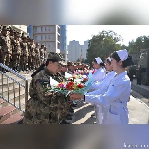 提灯荆棘女王宠物培养攻略推荐 提灯荆棘女王宠物培养攻略推荐